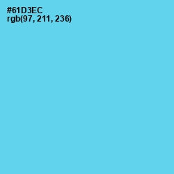 #61D3EC - Turquoise Blue Color Image