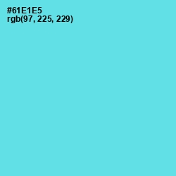 #61E1E5 - Turquoise Blue Color Image