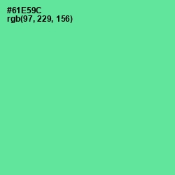 #61E59C - De York Color Image