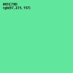 #61E79D - De York Color Image