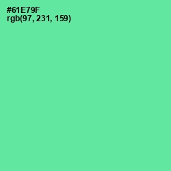 #61E79F - De York Color Image