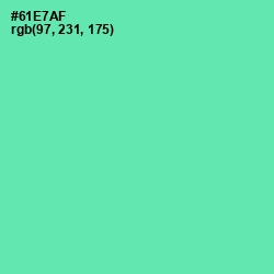 #61E7AF - De York Color Image