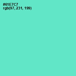 #61E7C7 - Aquamarine Color Image