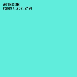 #61EDDB - Aquamarine Color Image