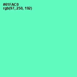 #61FAC0 - Aquamarine Color Image