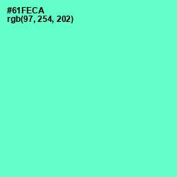 #61FECA - Aquamarine Color Image