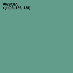 #629C8A - Patina Color Image