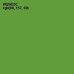 #629D3C - Olive Drab Color Image