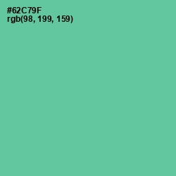 #62C79F - De York Color Image