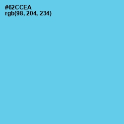#62CCEA - Turquoise Blue Color Image