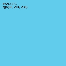 #62CCEC - Turquoise Blue Color Image