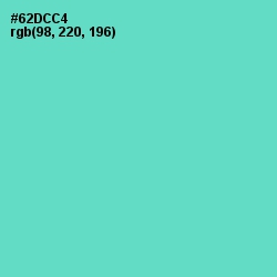 #62DCC4 - Downy Color Image