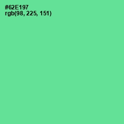 #62E197 - De York Color Image