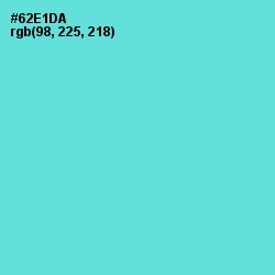 #62E1DA - Aquamarine Color Image