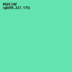 #62E3AF - De York Color Image