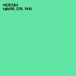 #62E5A4 - De York Color Image