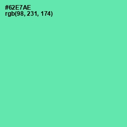 #62E7AE - De York Color Image