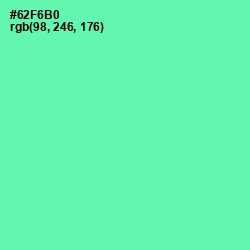 #62F6B0 - De York Color Image