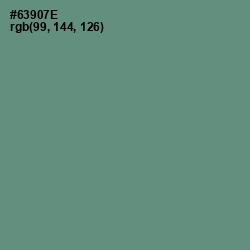 #63907E - Viridian Green Color Image