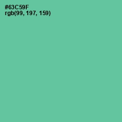 #63C59F - De York Color Image