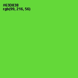 #63D838 - Bright Green Color Image