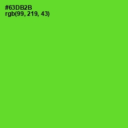 #63DB2B - Bright Green Color Image