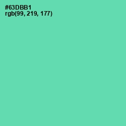 #63DBB1 - De York Color Image