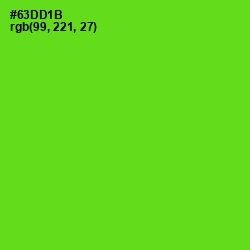 #63DD1B - Bright Green Color Image