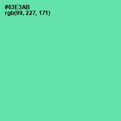 #63E3AB - De York Color Image