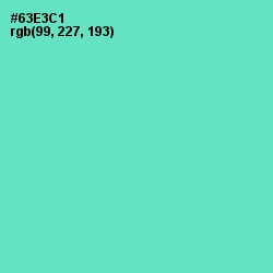 #63E3C1 - Aquamarine Color Image