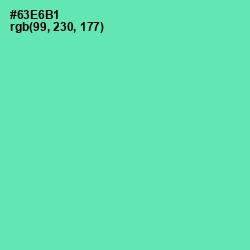 #63E6B1 - De York Color Image