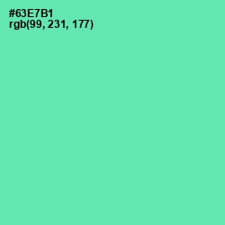 #63E7B1 - De York Color Image