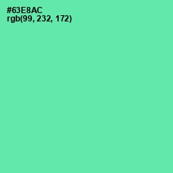 #63E8AC - De York Color Image