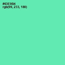 #63E9B4 - De York Color Image