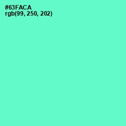 #63FACA - Aquamarine Color Image