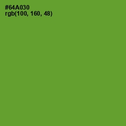 #64A030 - Olive Drab Color Image