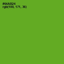 #64AB24 - Christi Color Image