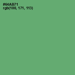 #64AB71 - Fern Color Image