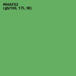 #64AF62 - Fern Color Image