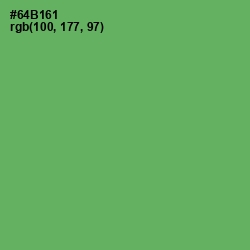 #64B161 - Fern Color Image