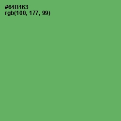 #64B163 - Fern Color Image