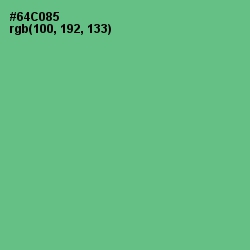 #64C085 - De York Color Image