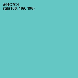 #64C7C4 - Downy Color Image
