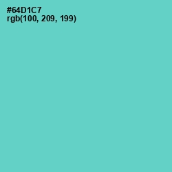 #64D1C7 - Downy Color Image