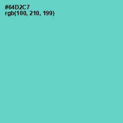 #64D2C7 - Downy Color Image