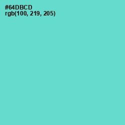 #64DBCD - Downy Color Image
