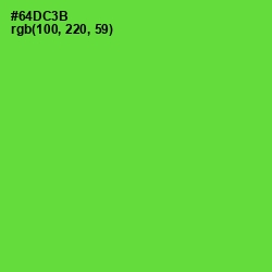 #64DC3B - Bright Green Color Image