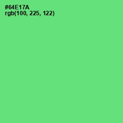 #64E17A - Screamin' Green Color Image