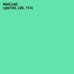 #64E2AE - De York Color Image