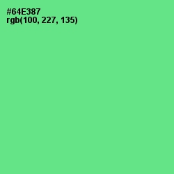 #64E387 - De York Color Image